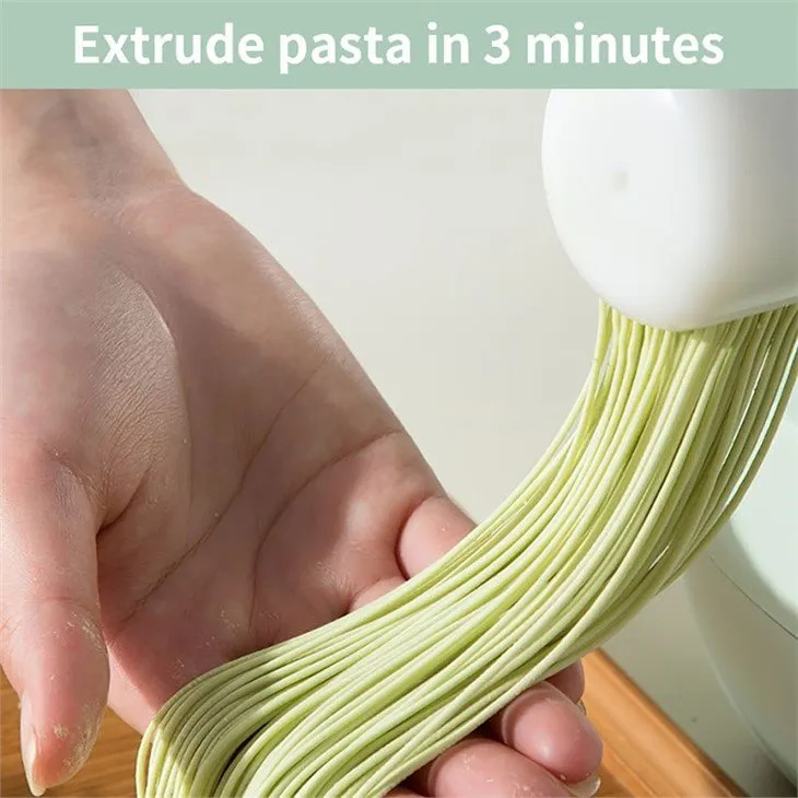 6-pasta maker lasagne